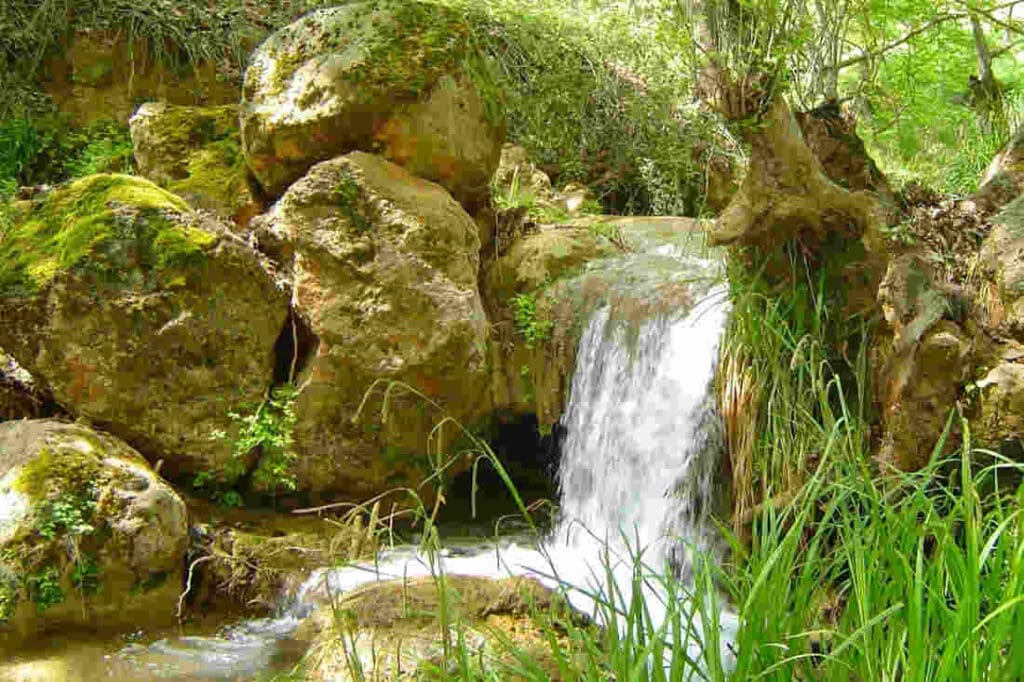 Three days in Arcadia with George, our Gastronomic Correspondent from " Taste Local Greece". - Gastronomy Tours aidonia 4 orig 1 - Gastronomy Tours